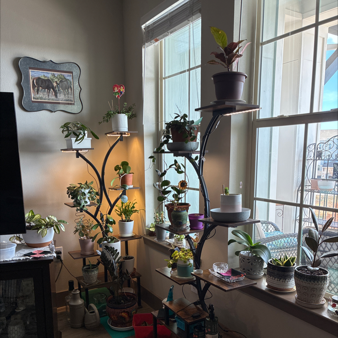 Avatar for @FitYerbasanta on Greg, the plant care app