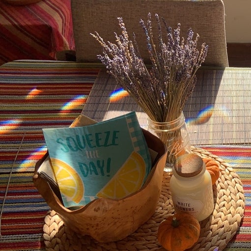 Avatar for @AnaStayCoolsia on Greg, the plant care app