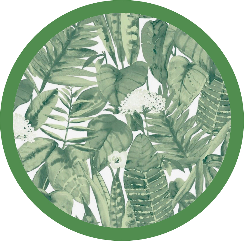 Avatar for @carterroney_ on Greg, the plant care app