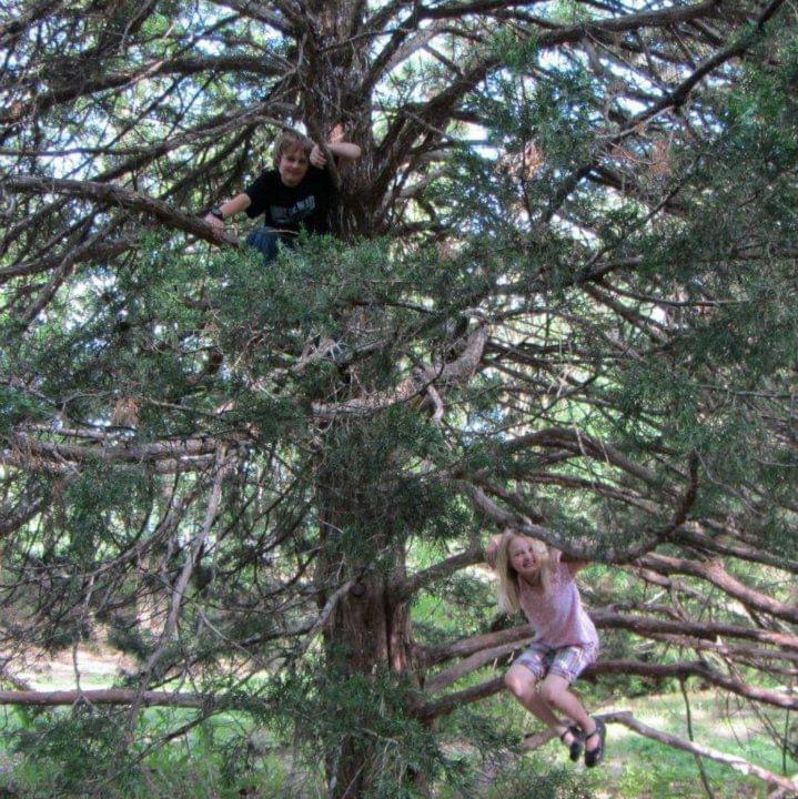 Avatar for @Keddington on Greg, the plant care app