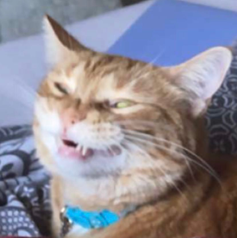 Avatar for @saraconnole on Greg, the plant care app