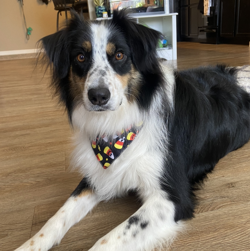 Avatar for @MaddyHayes on Greg, the plant care app