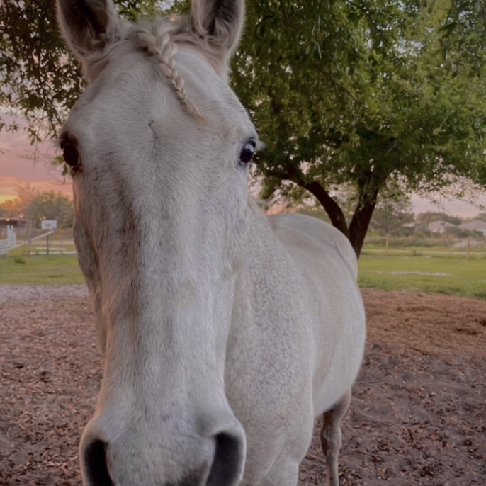 @caitlynbuboltz avatar