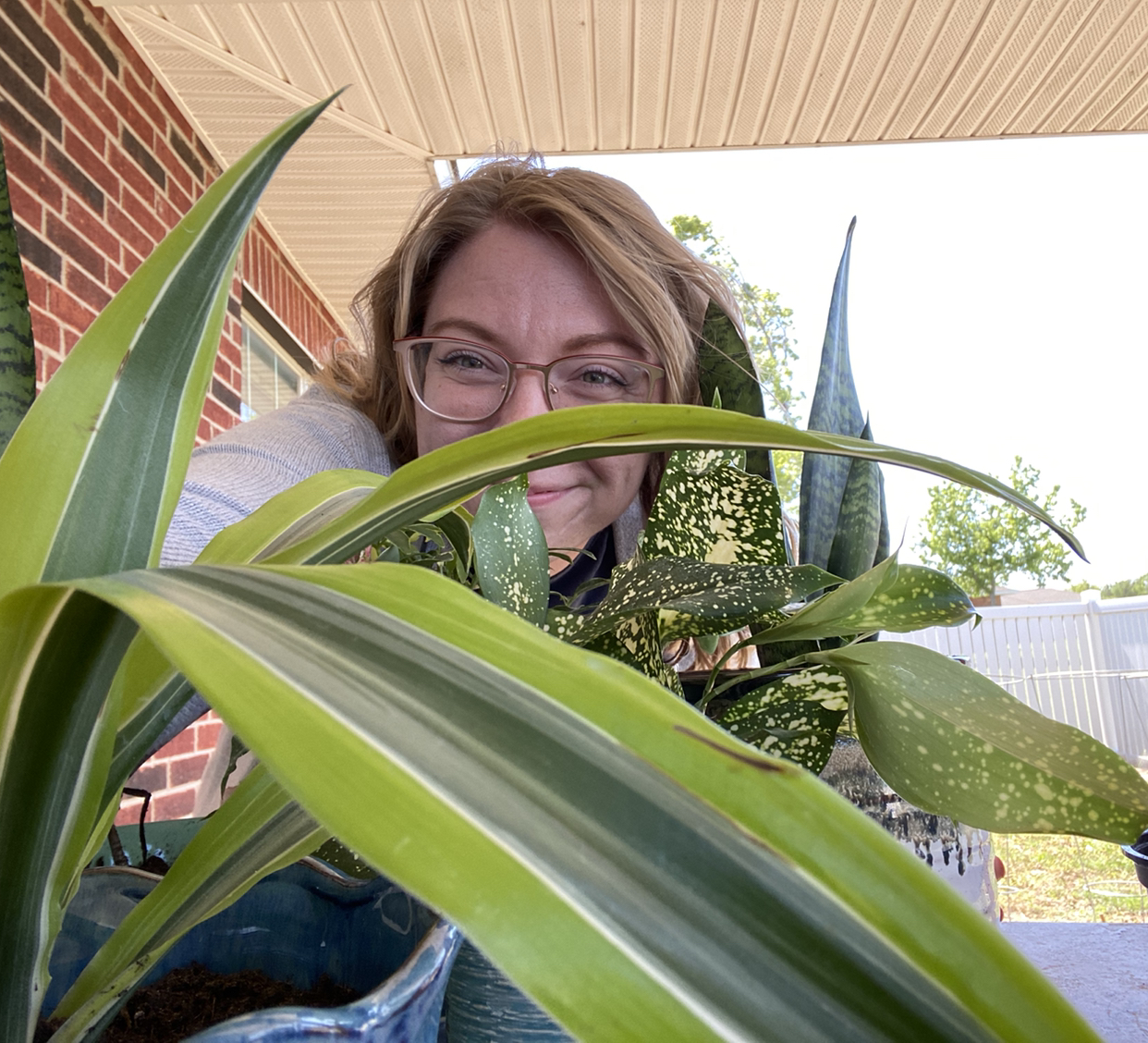 Avatar for @Katemili on Greg, the plant care app