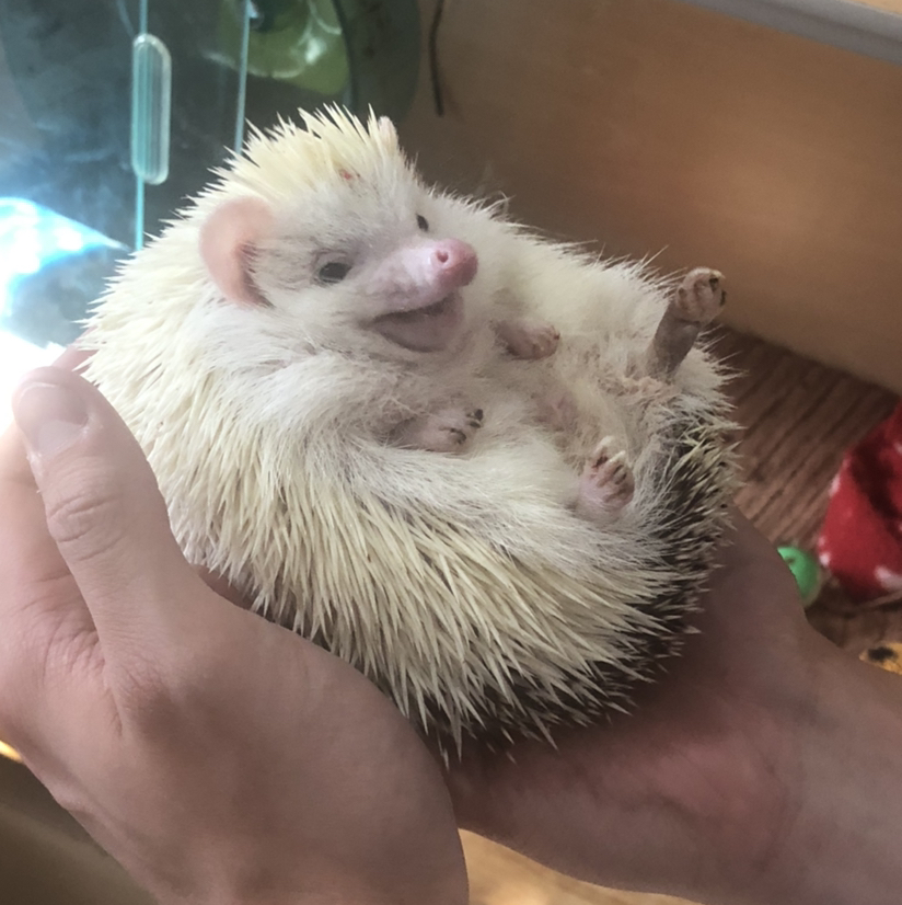 Avatar for @marklesparkle on Greg, the plant care app