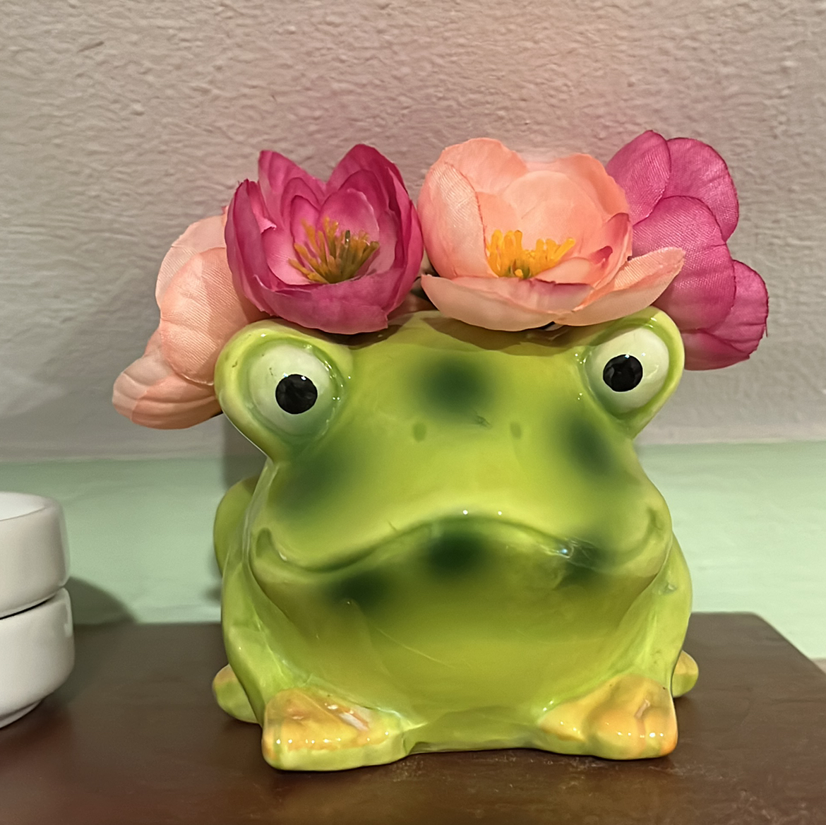 Avatar for @SunnyDaze on Greg, the plant care app