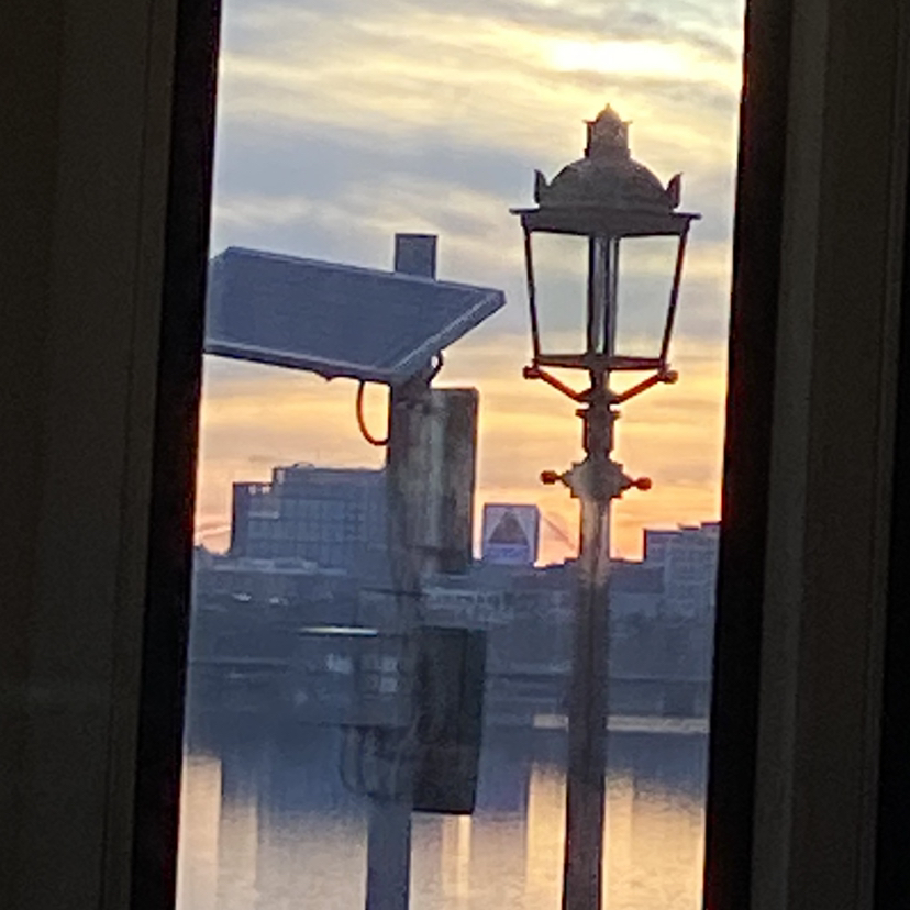 @Greenest_Thumb avatar