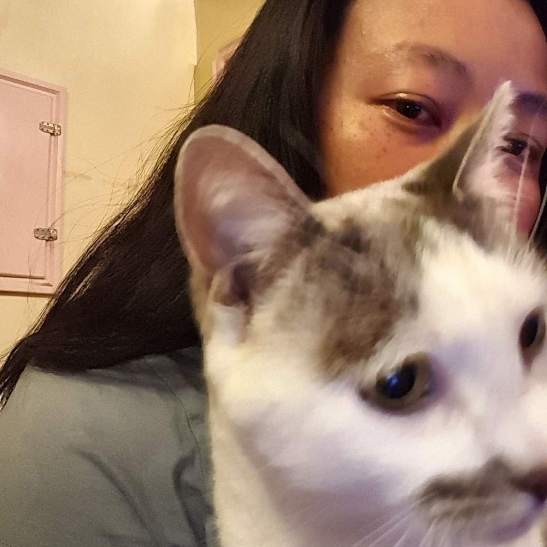 @ballondusoleil avatar