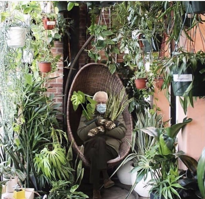 Avatar for @zoeylambstone on Greg, the plant care app