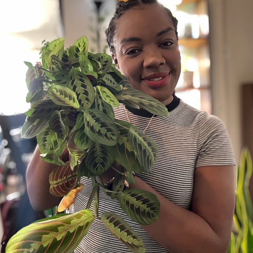 @PlantasticPatty avatar