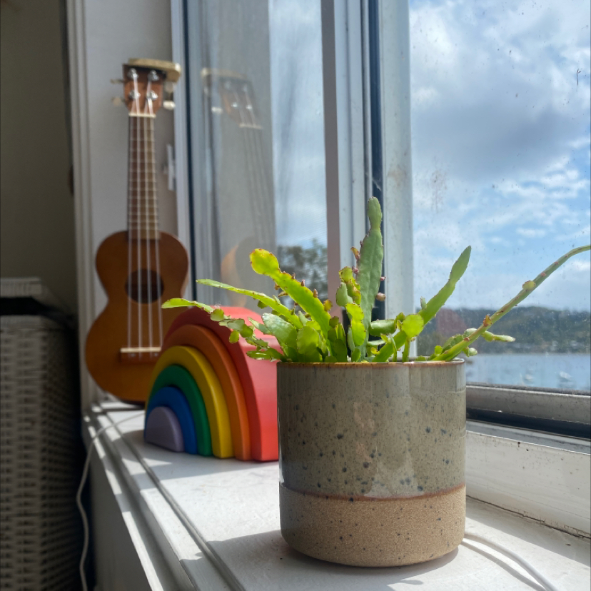 @ihave1plant