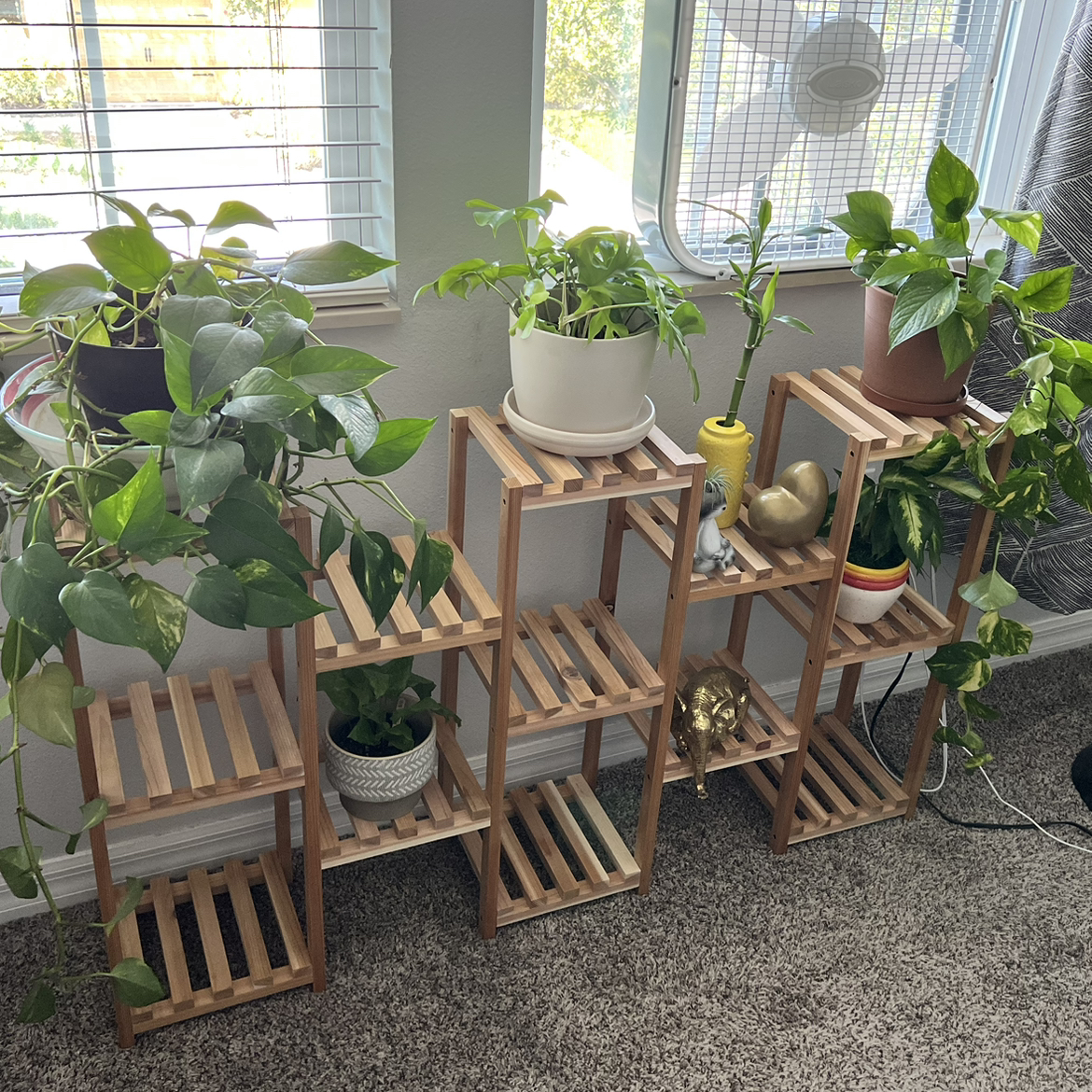 Avatar for @samb on Greg, the plant care app