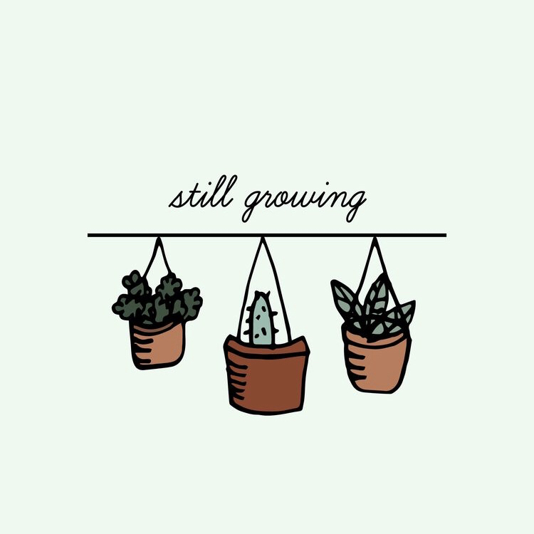 Avatar for @Suranne_carter on Greg, the plant care app