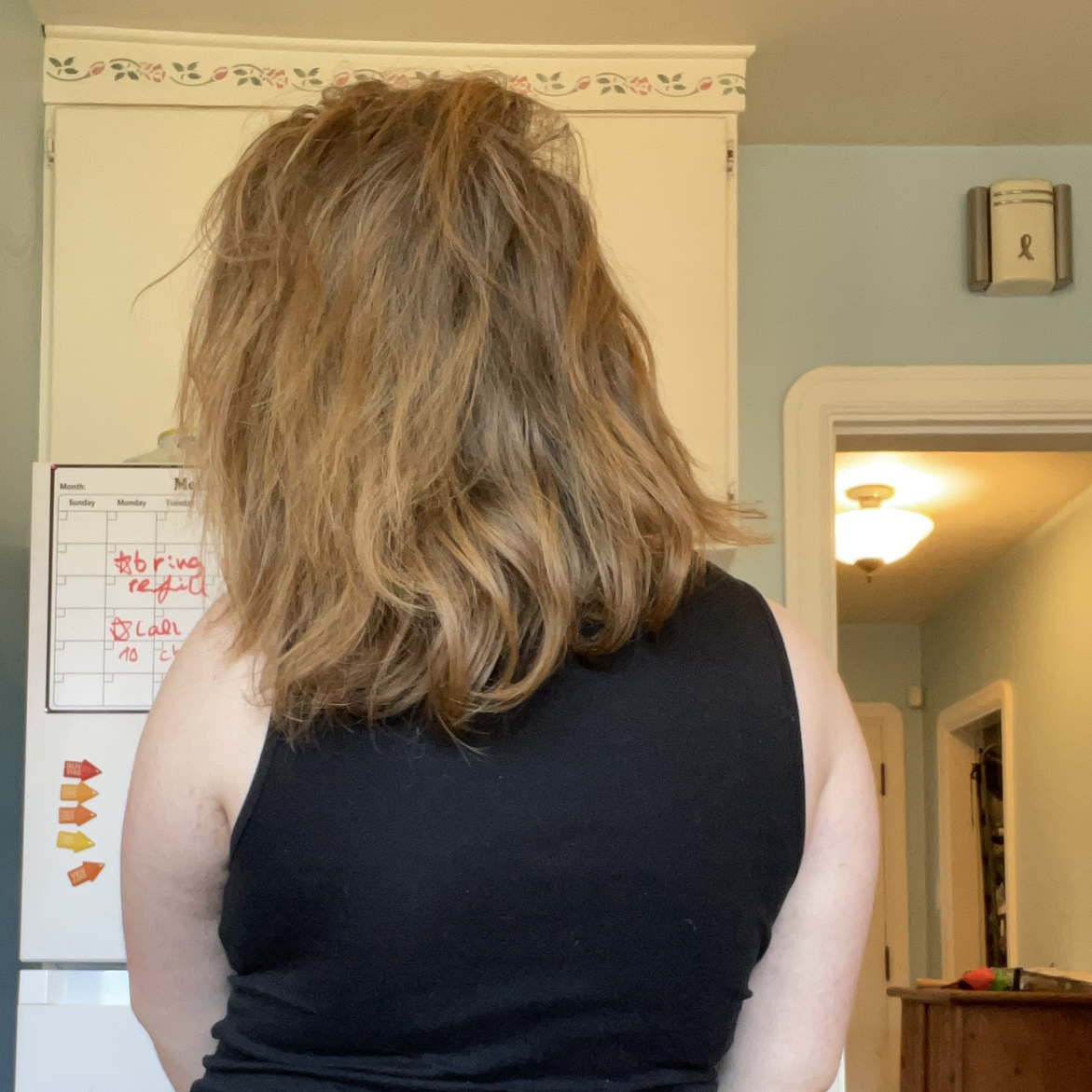 @adhdplantcare avatar