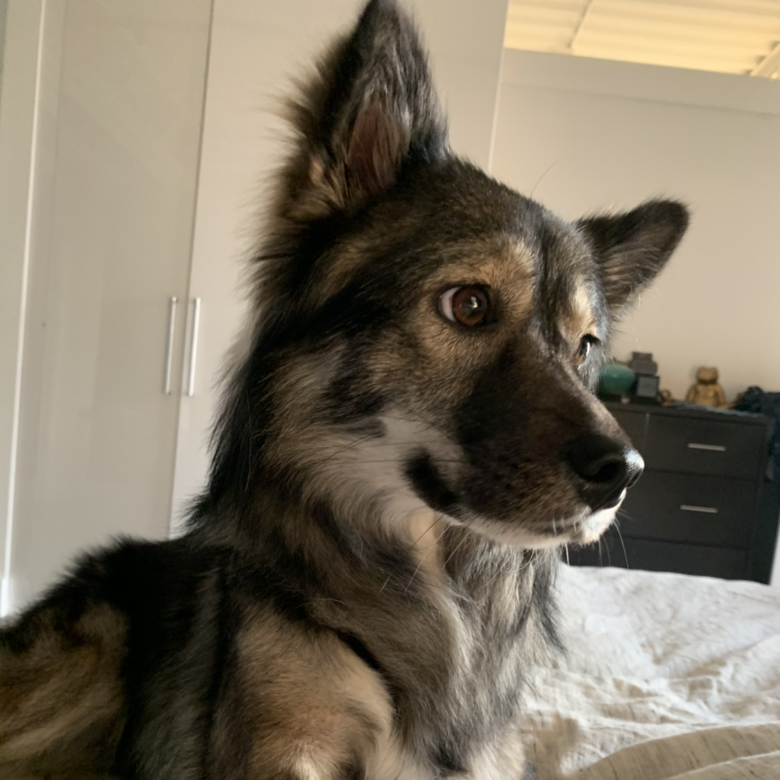 Avatar for @Brenna on Greg, the plant care app