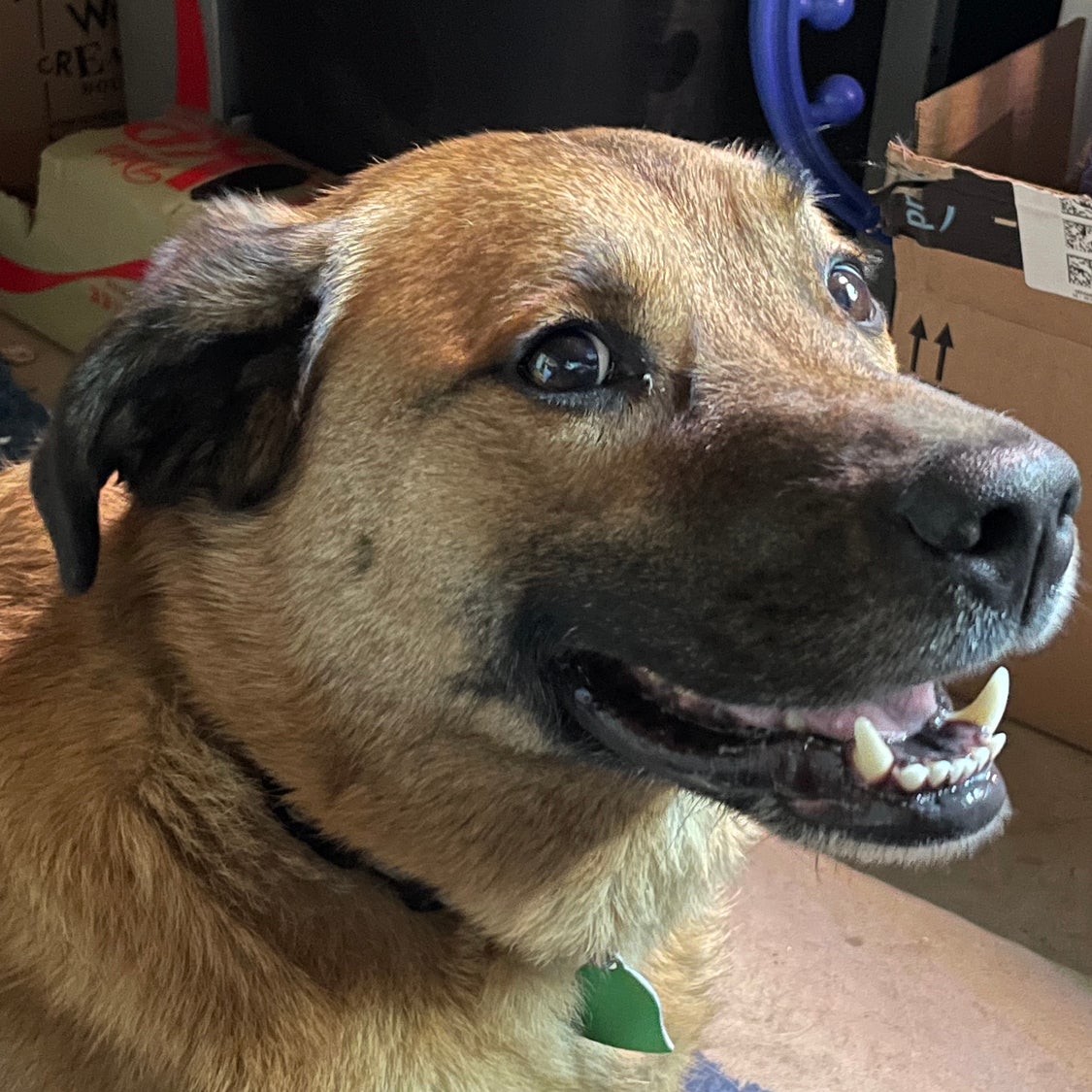 @SoundlyLoquat avatar