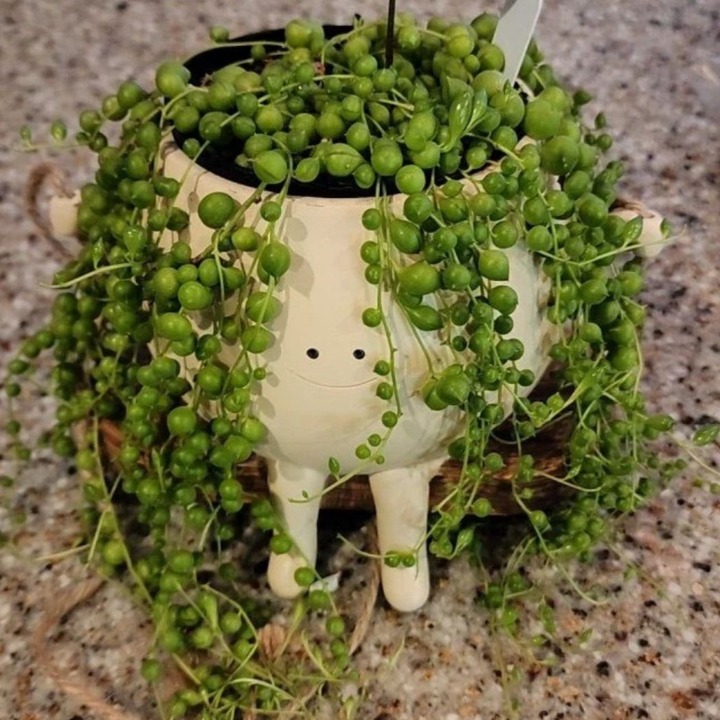 @BeeHappy