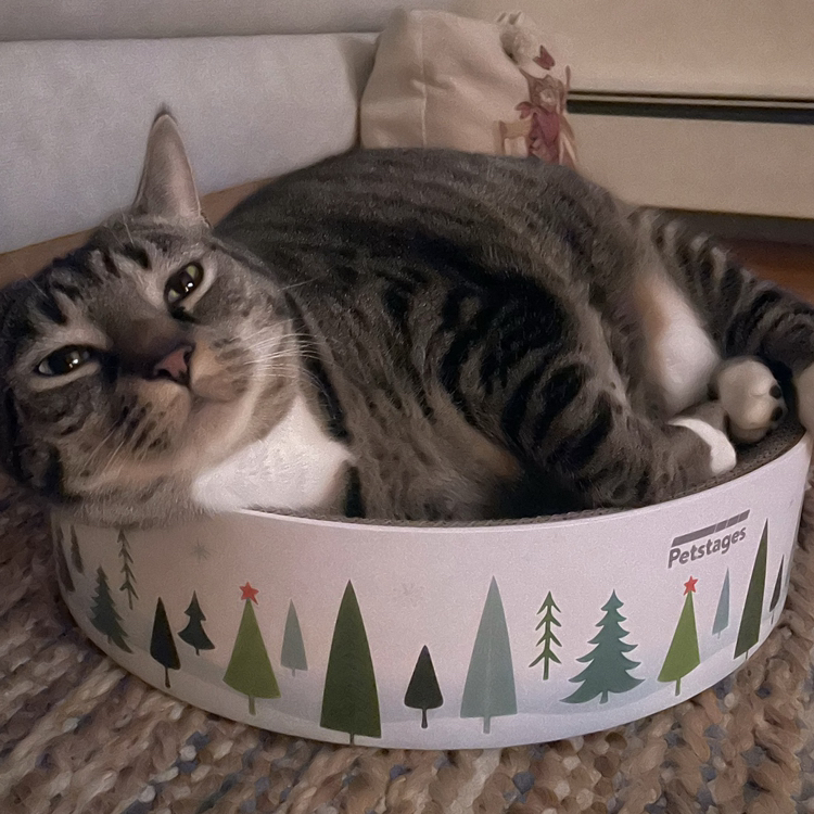 Avatar for @Flowergirl2222 on Greg, the plant care app