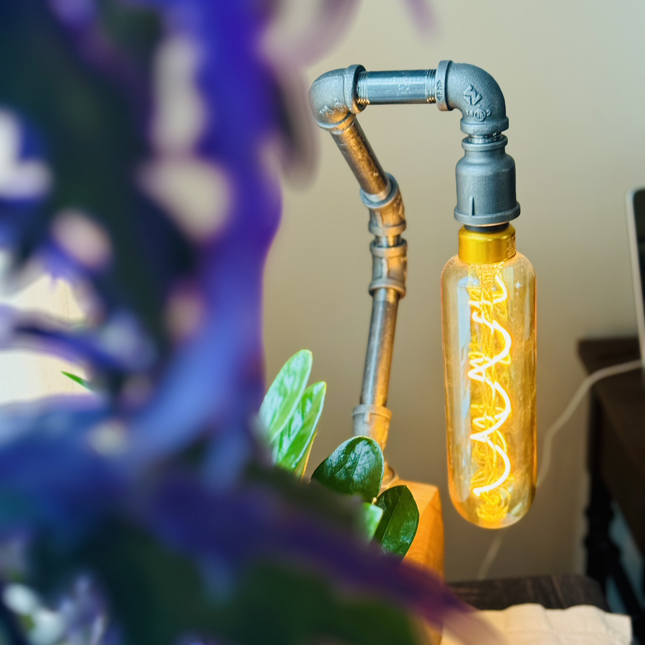 Avatar for @PlantRescue801 on Greg, the plant care app