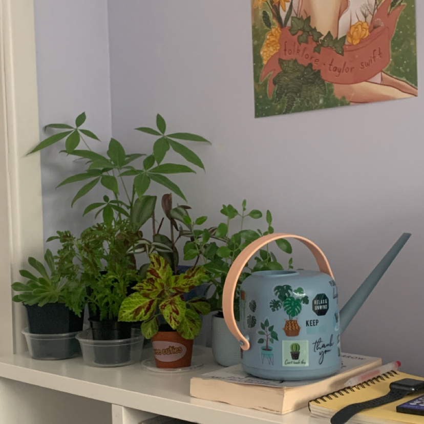 Avatar for @abbycompton on Greg, the plant care app