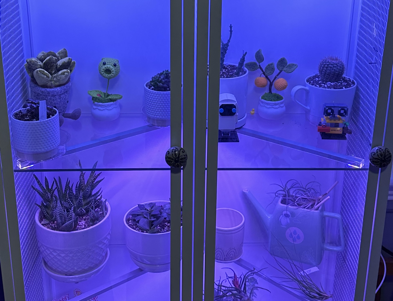 Avatar for @StusGarden on Greg, the plant care app