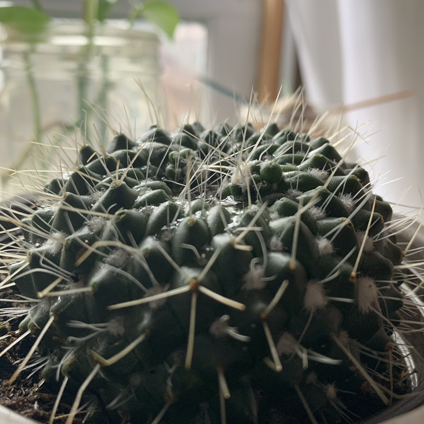 @maria.s_2021 avatar