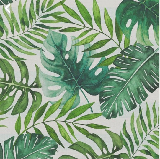 @campbellshaw avatar