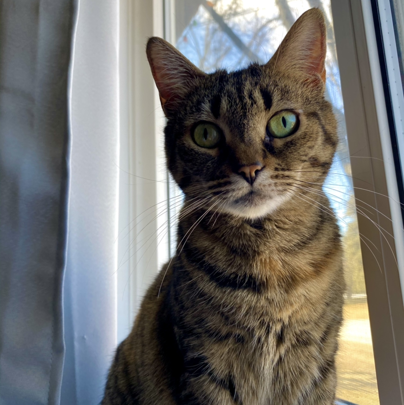 Avatar for @LemonWater on Greg, the plant care app