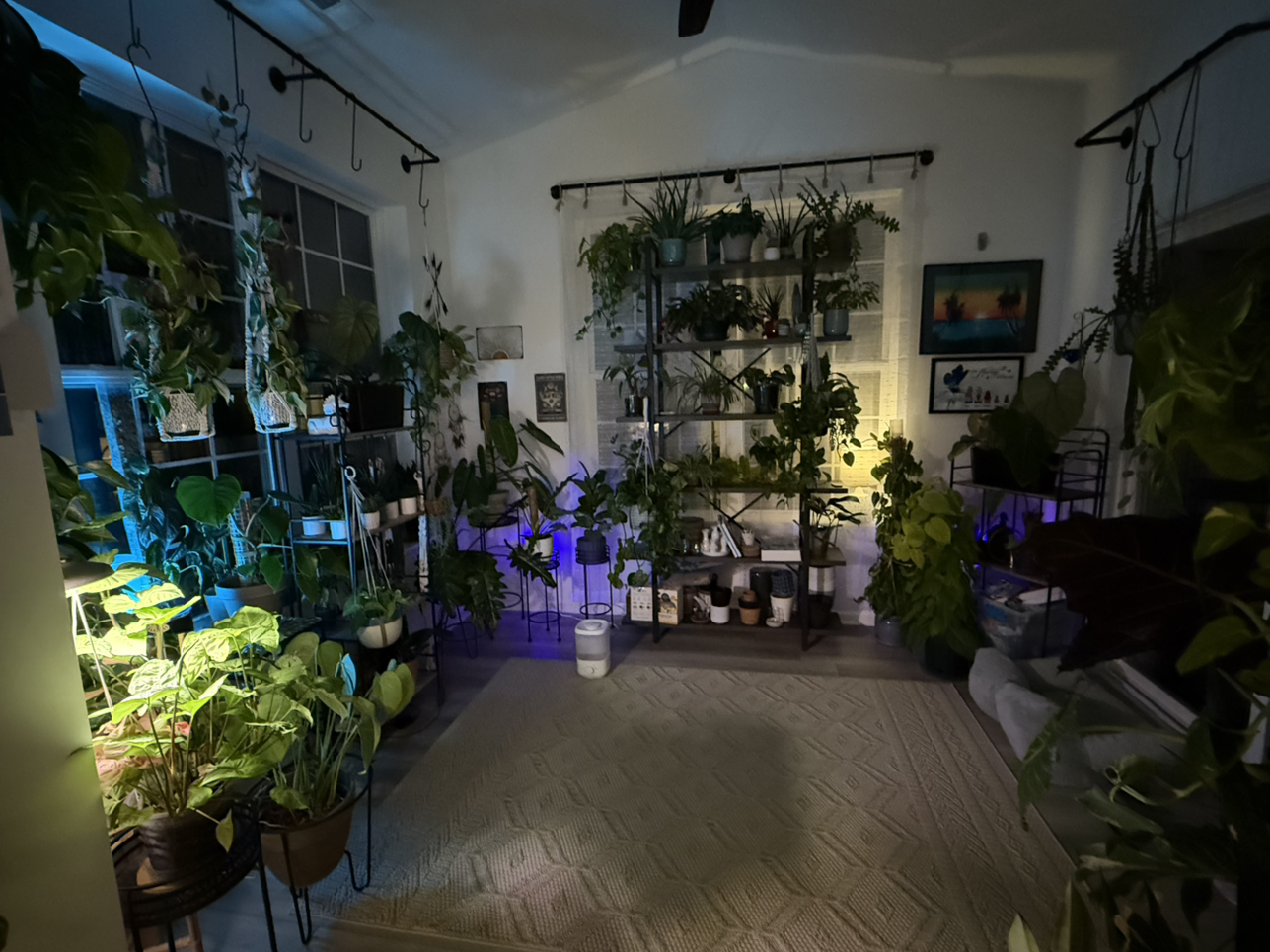 Avatar for @BestRutabaga on Greg, the plant care app