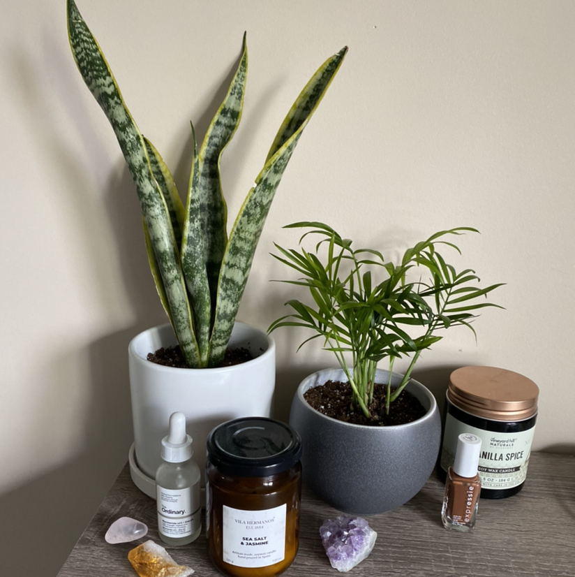 Avatar for @taylor.dev5 on Greg, the plant care app