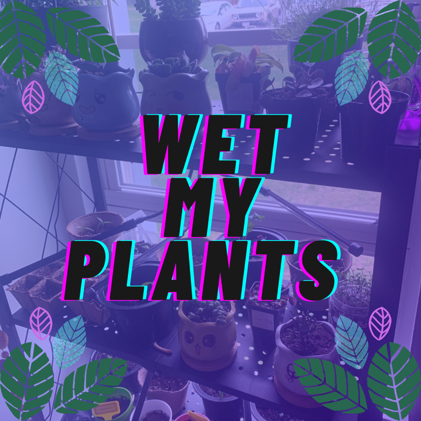 Avatar for @wetmyplants on Greg, the plant care app