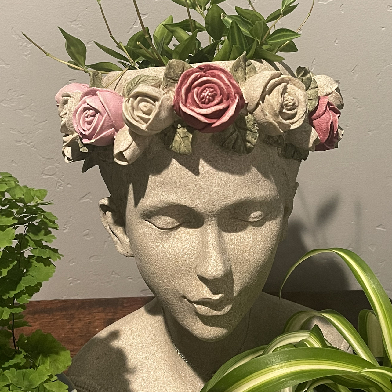 Avatar for @PlantTherapy111 on Greg, the plant care app