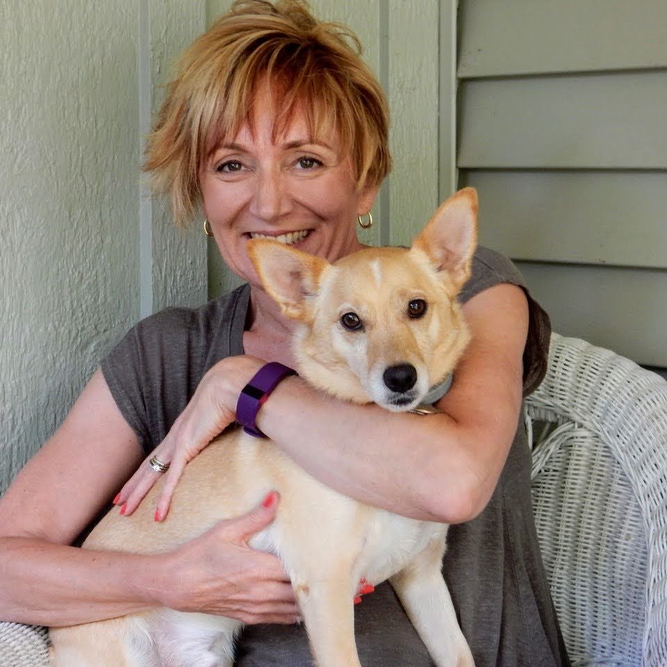 @SuzAnthophile avatar