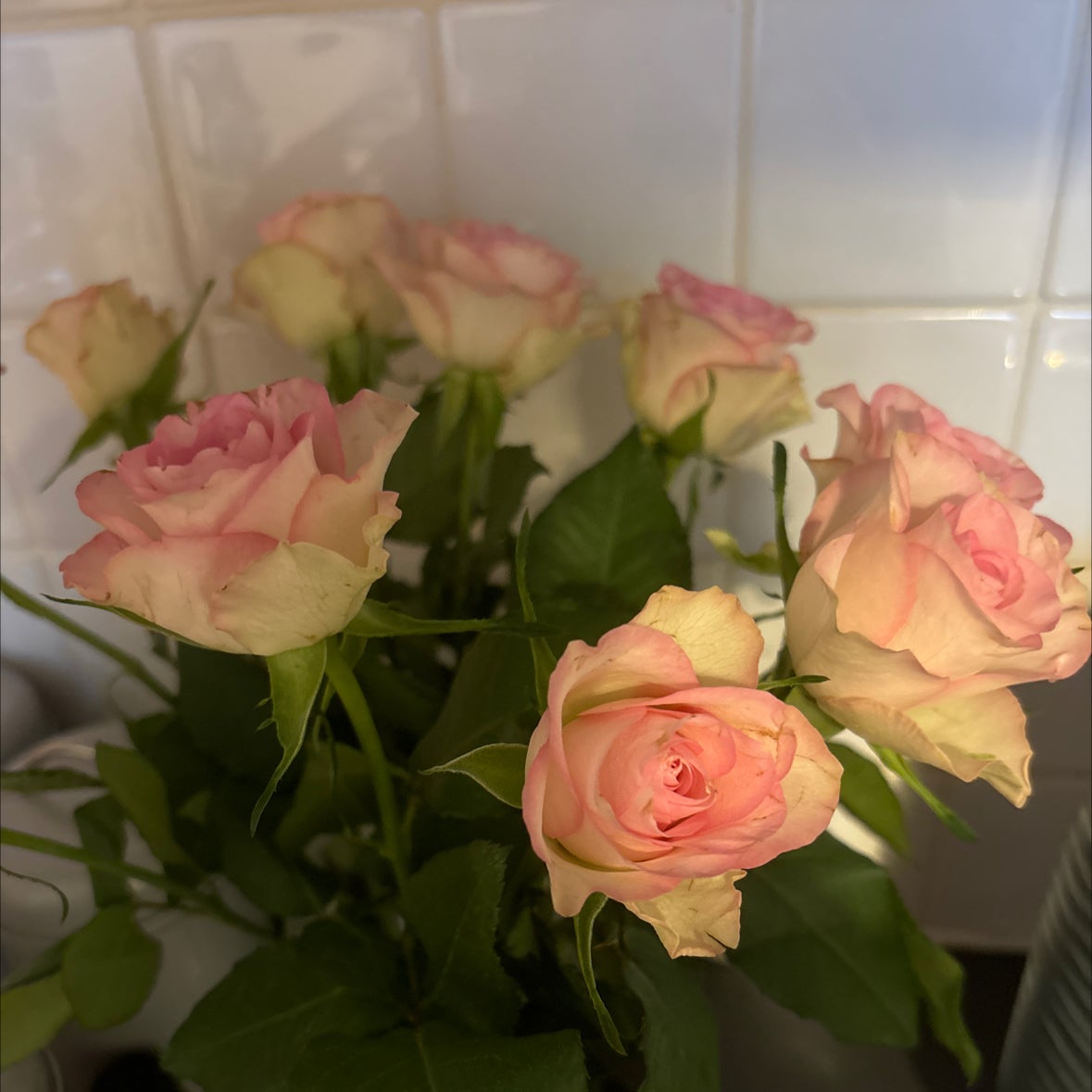 @GiddyStickysage avatar