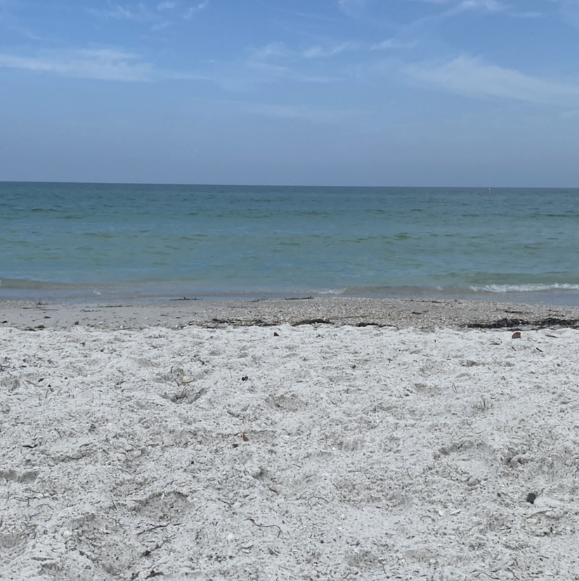 Avatar for @Plantmom8 on Greg, the plant care app