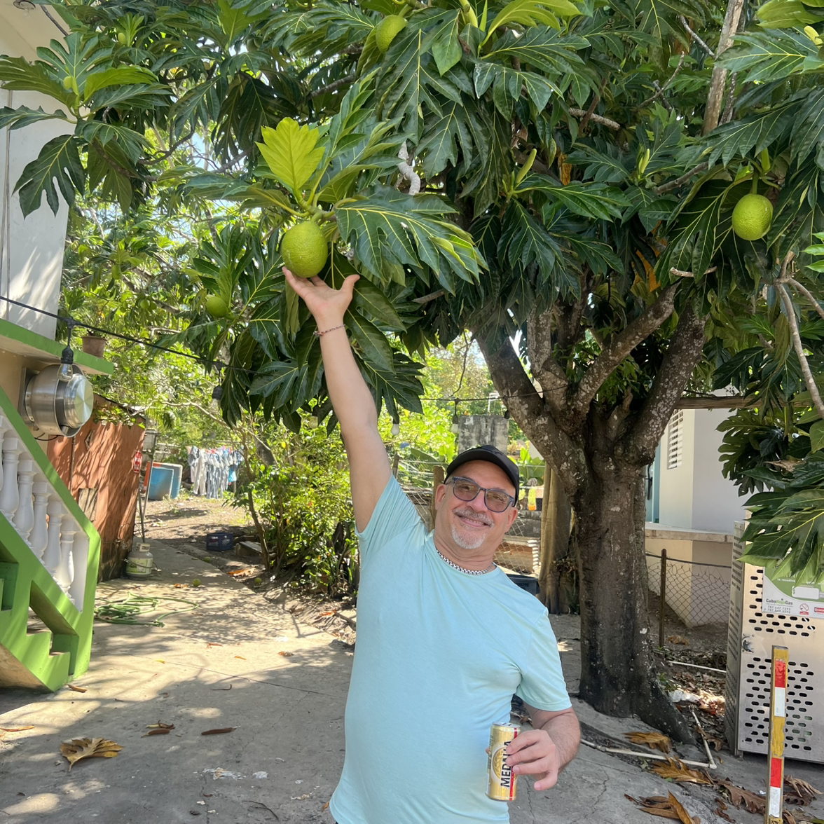 Avatar for @Berto57 on Greg, the plant care app