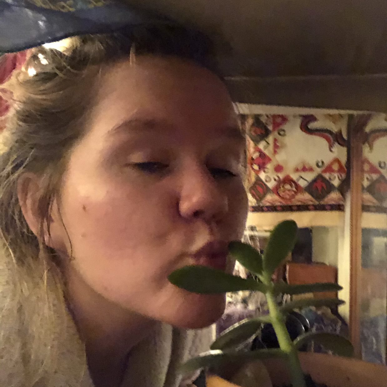 @Friendshipgarden avatar