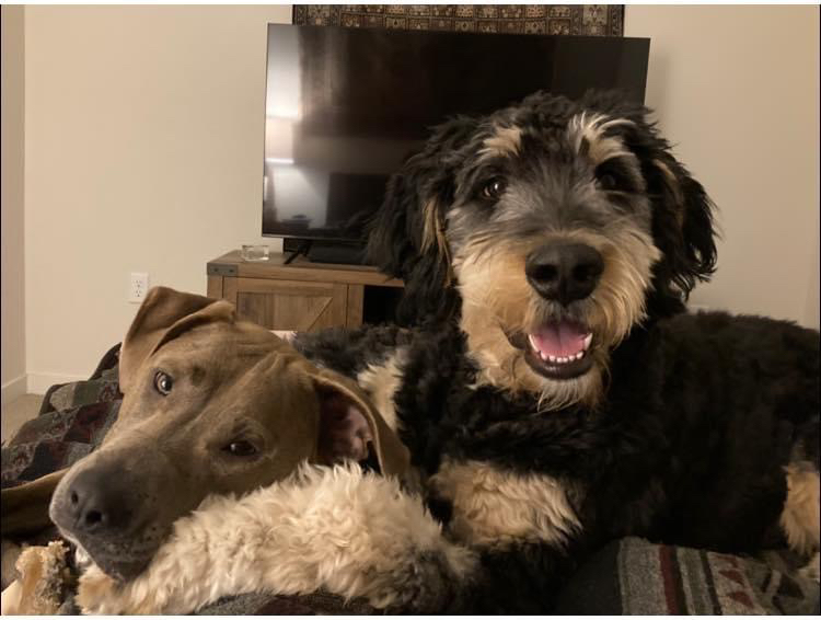 @ColoradoKris avatar