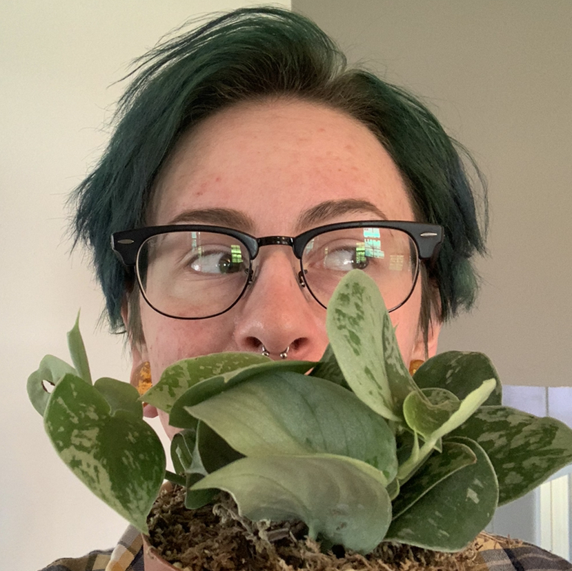 Avatar for @palutena_ on Greg, the plant care app