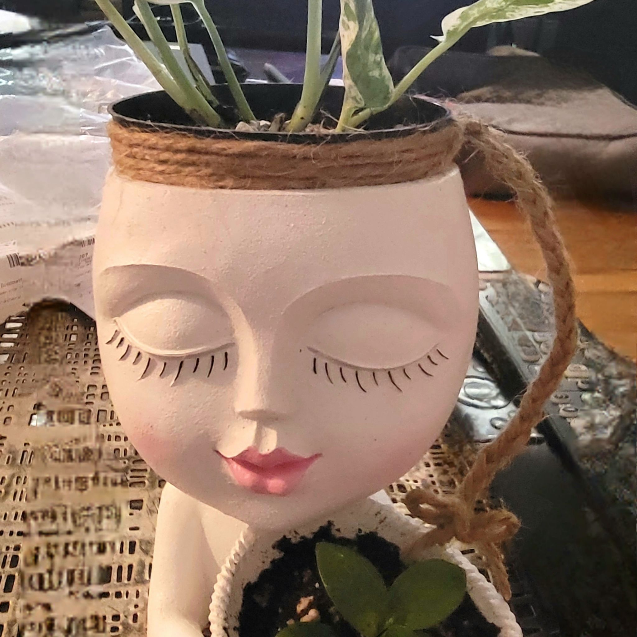 Avatar for @arleta22 on Greg, the plant care app