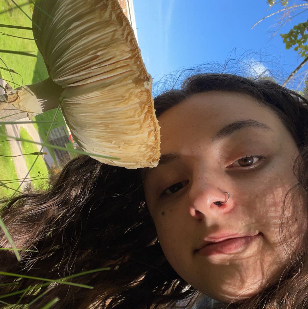 @abbyrhynold avatar