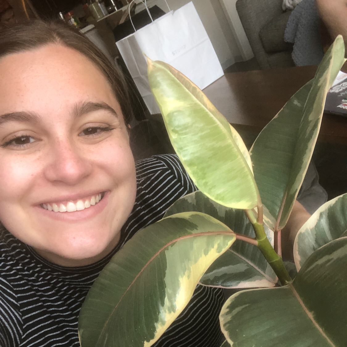 Avatar for @Kaitlynburnham_ on Greg, the plant care app