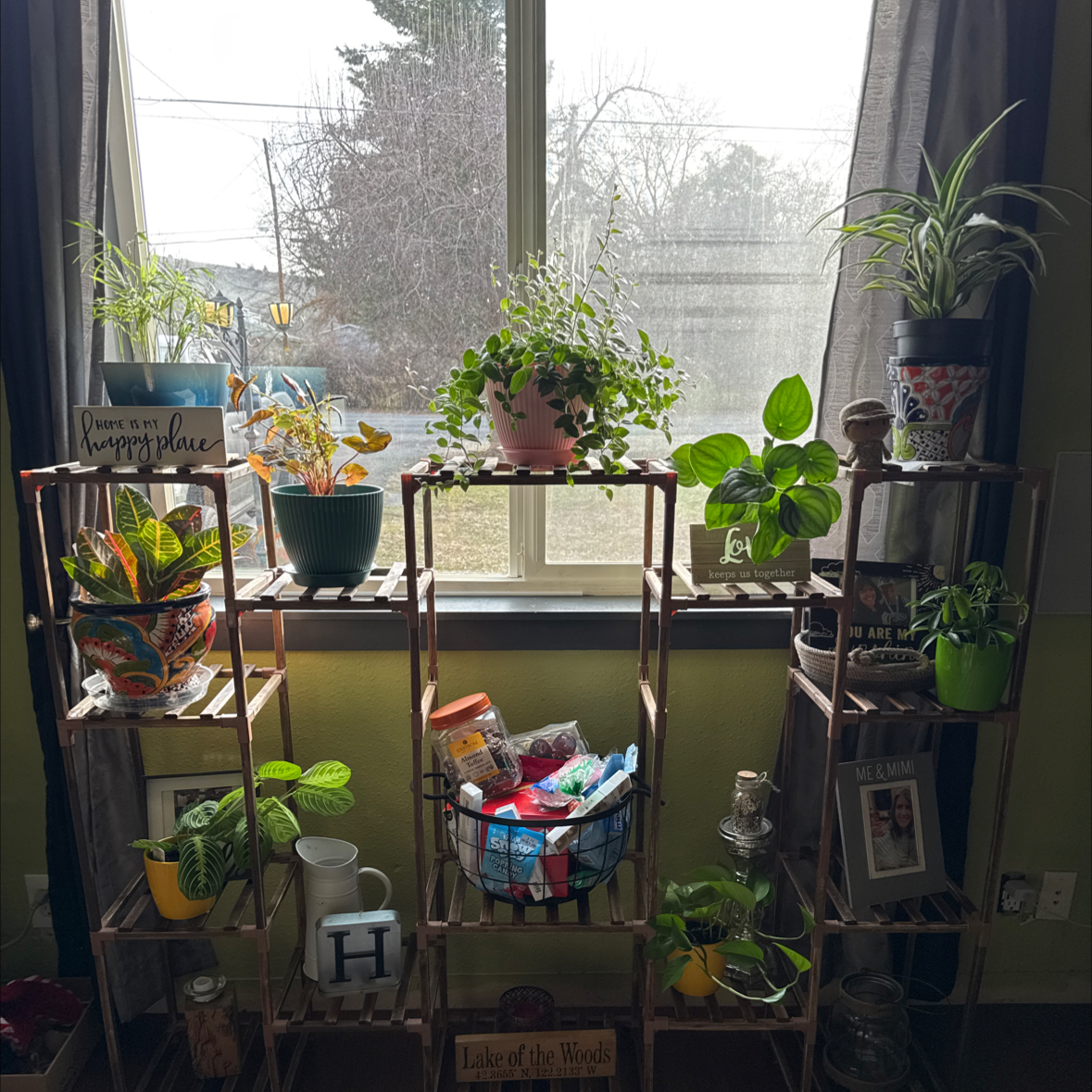 Avatar for @MommaHubbs on Greg, the plant care app
