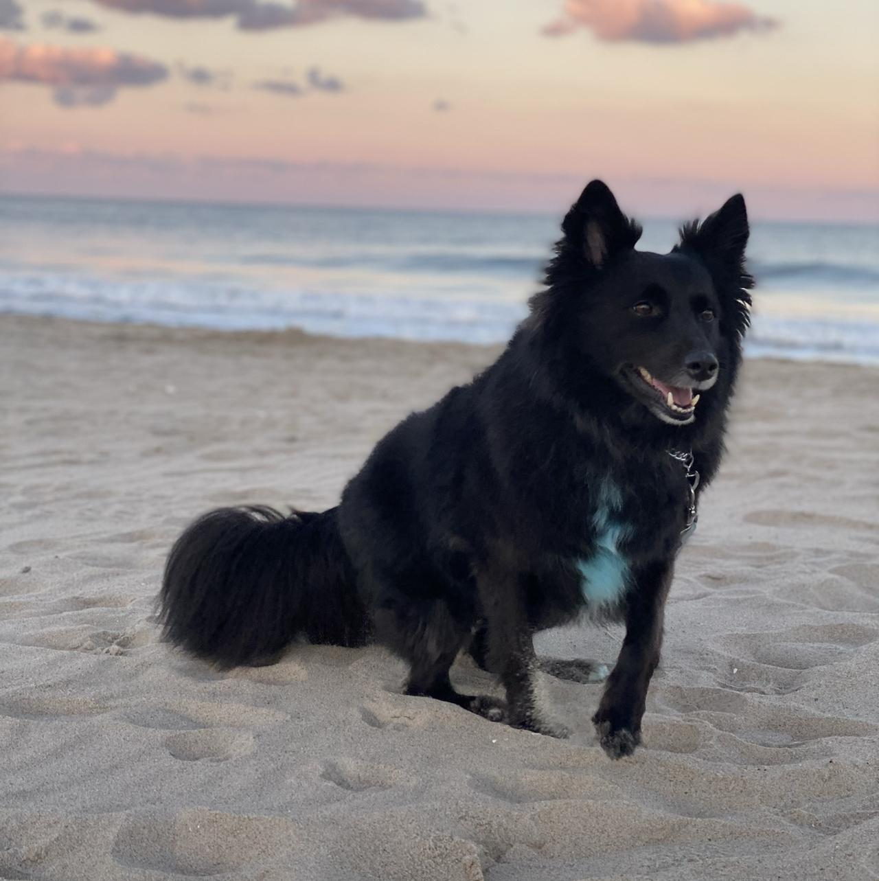 @Johnnyawesome avatar