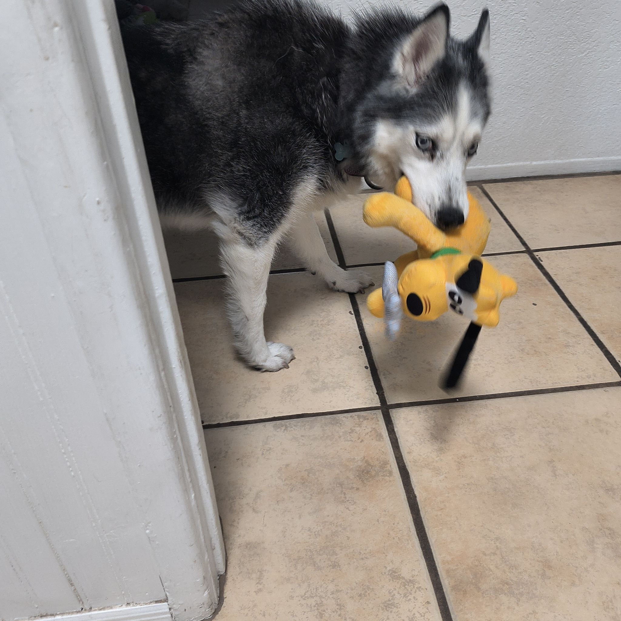 Avatar for @EquableZebrina on Greg, the plant care app