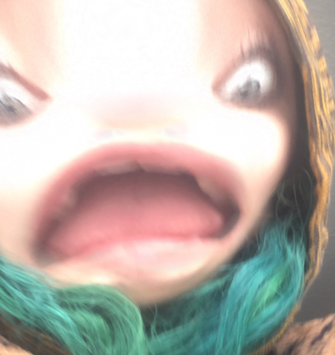 Avatar for @Spookyplants on Greg, the plant care app