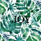 Joy.plant avatar