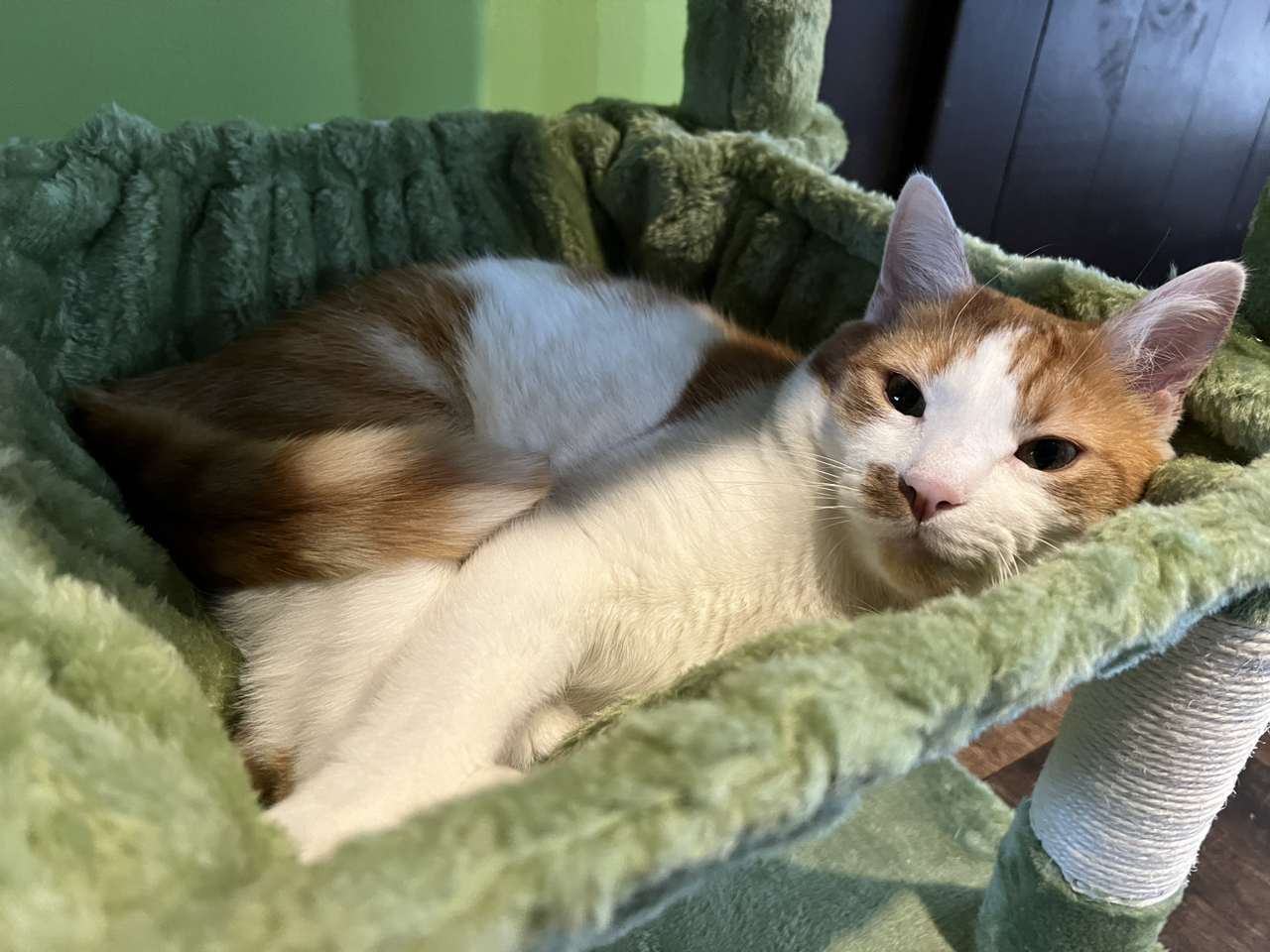 Avatar for @Slothington on Greg, the plant care app