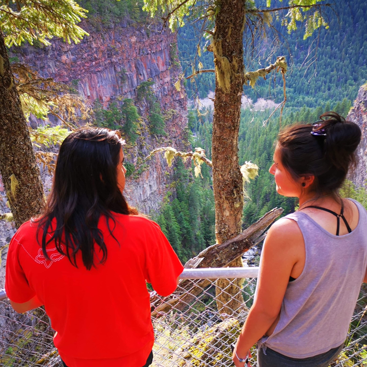 Avatar for @elVanno on Greg, the plant care app