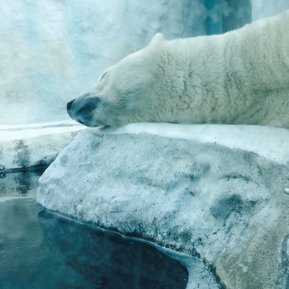 Avatar for @Alexsys on Greg, the plant care app